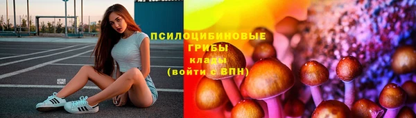 а пвп мука Абаза
